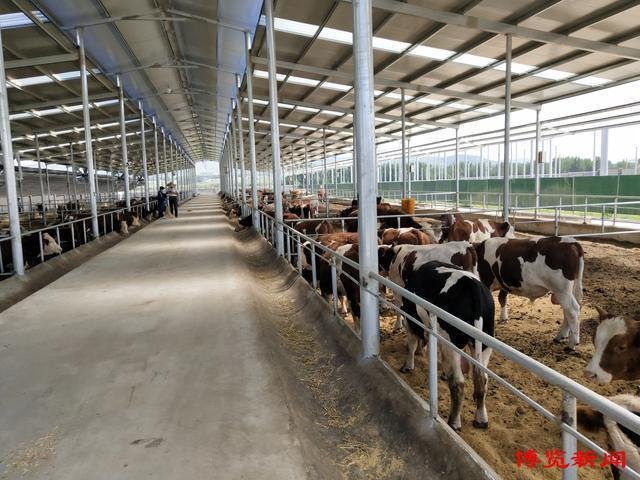 cowshed